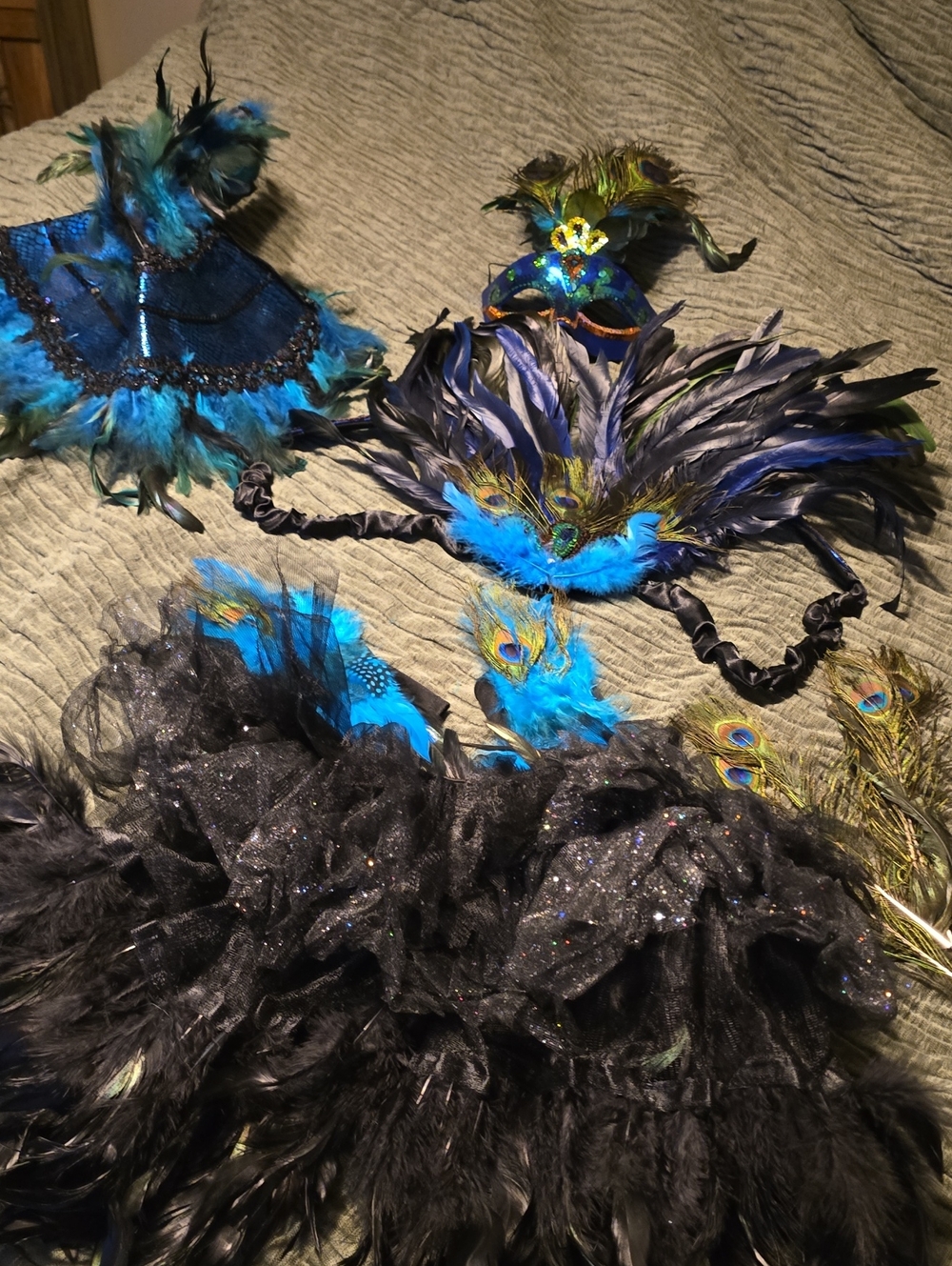 Peacock Costume Full Set Super Awesome Still New Small/medium